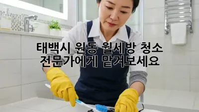 태백시 원동 월세방 청소, 전문가에게 맡겨보세요!